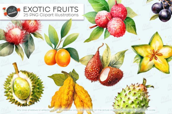 Download 25 Exotic Fruits Watercolour Clipart - Fruits Collection