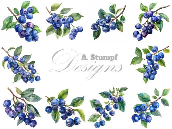 Download Blueberry Watercolor Fruits Clipart Set - Fruits Collection